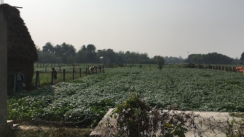 Hooghly district