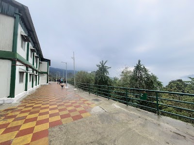 National Institute Of Technology Sikkim