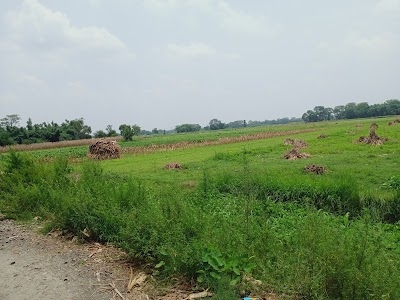 Kashnagar