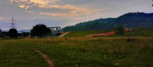 Kamalajari Gaon