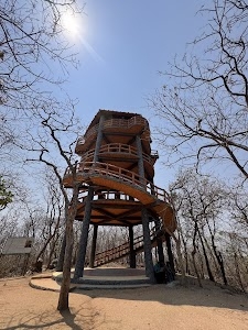Narsapur Forest Range