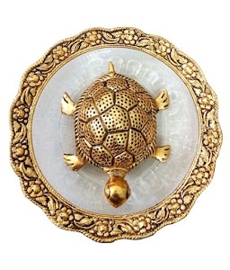 Dhadichua Majhi sahi