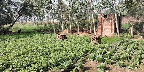 Jamthara