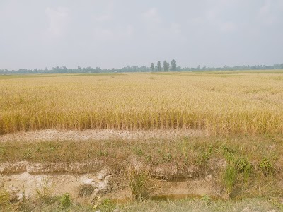 Manpur Mainapokhar