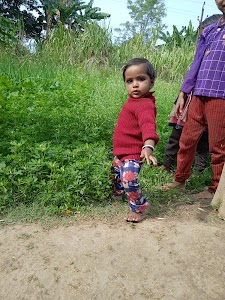Jhila