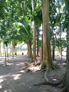 Dakshinpara