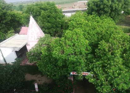 Machhariya