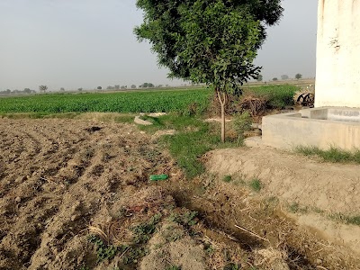 Nanakpur Banger