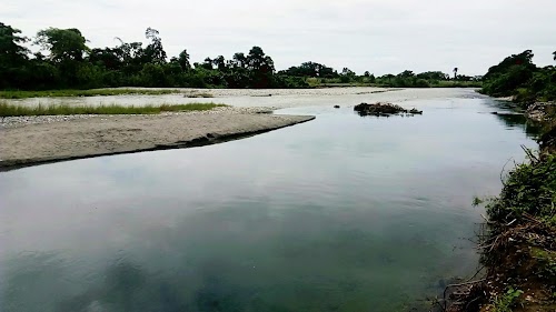 Tezu