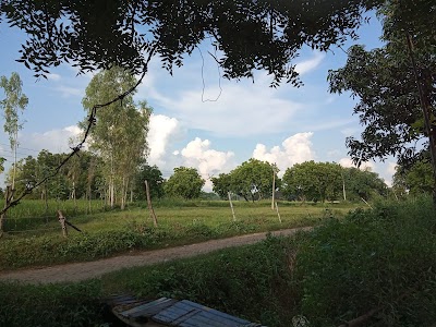 Nihastha