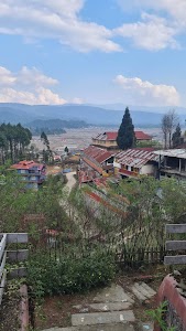 Ziro Valley Resort