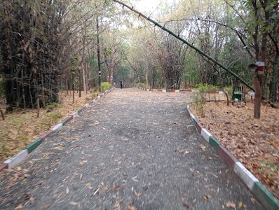 Gate of Swarna jayanti park