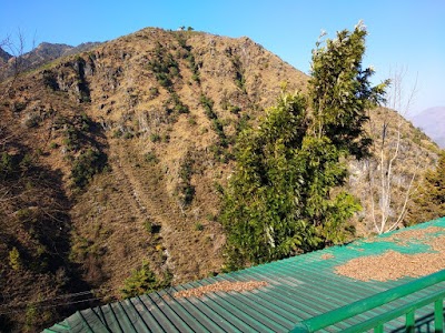 Himalayan Adventure Institute