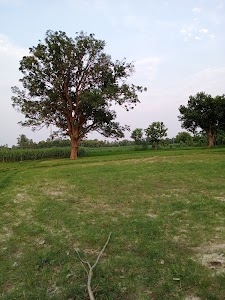 Ujjani Kalan