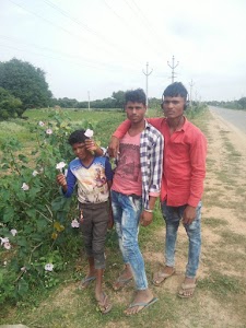 Gadoli