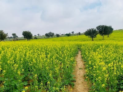Karansar