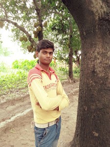 Bhujpura