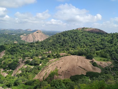 Ramanagara Ramadevarabetta Vulture Sanctuary