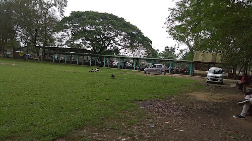 Sonari College