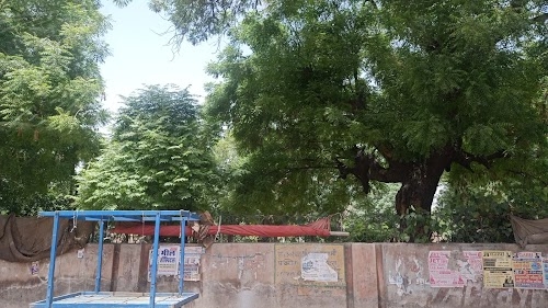 Gandhi Park Bhadra
