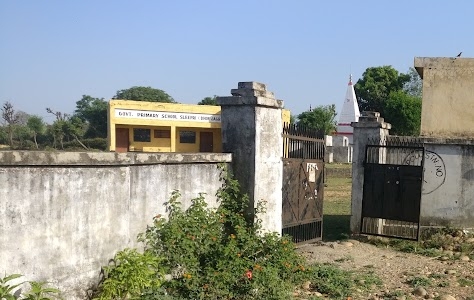 Government Primary School Saripari