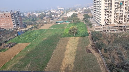 GULMOHAR GARDEN