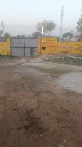 Expert parking yard
