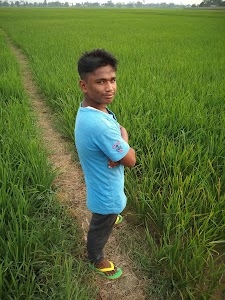 Kasomarichapari
