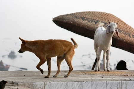 City varanasi
