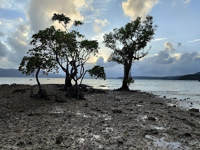 Chidyatapu Beach