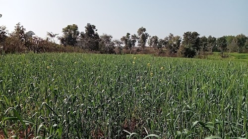 Himmatpura