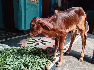 Vikash patel
