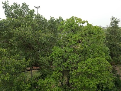 Indra Vihar, Mukherjee Nagar