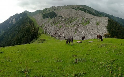 Budhal