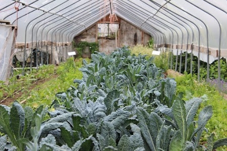 Roof top farming