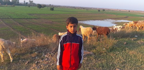 Lala Chak