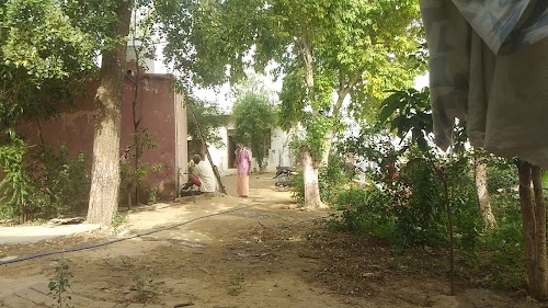 Joniawas Mandir