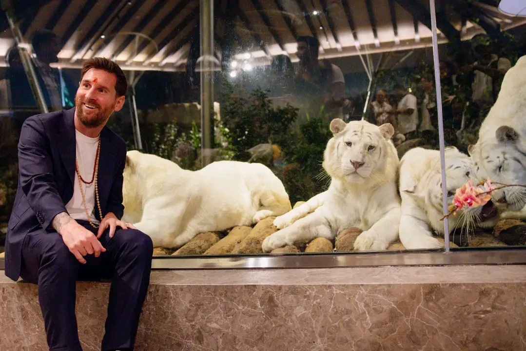 Reliance zoo