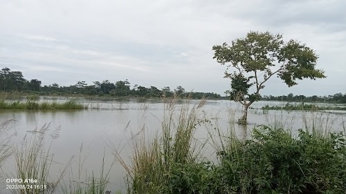 Pronab Chetia