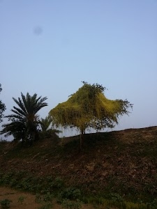 Dariapur