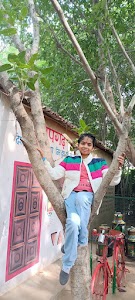Pratapgar
