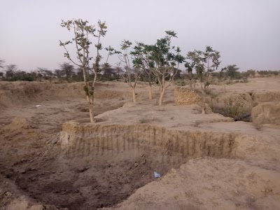 Baniyala