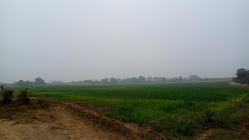Ayodhya Green Park