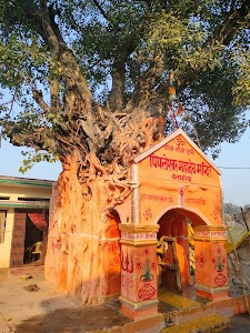 Bharat Maddheshiya