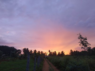 Mandigere