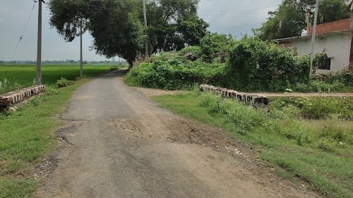 Maurya Basti