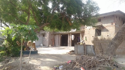 Markari