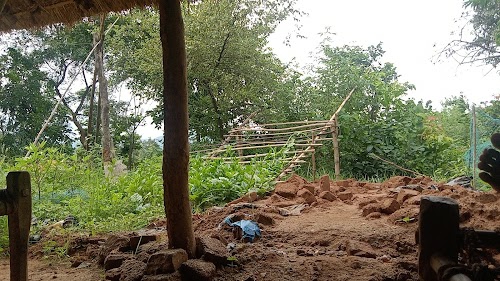Kaju bagan