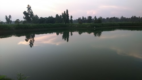 Kaudena