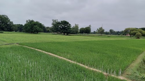 Birapur